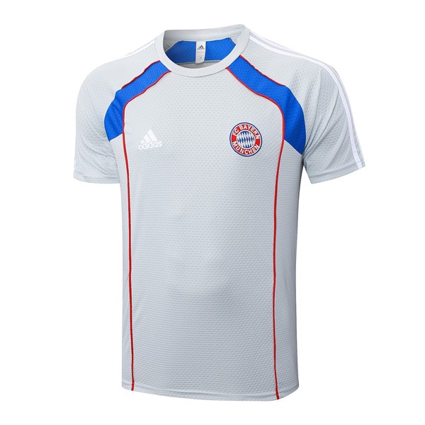 Camiseta Entrenamiento Bayern Munich 2025/26 Gris 3